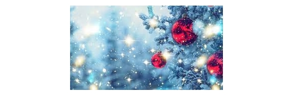 Fijne Kerstdagen en Gelukkig Nieuwjaar